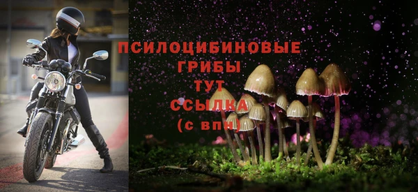 таблы Алзамай