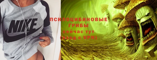дмт Нягань