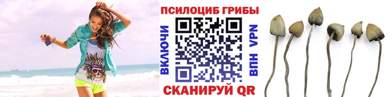 Галлюциногенные грибы Cubensis kraken как войти Уяр